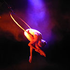 Aerial Hoop