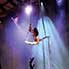 Circus, Aerial, Contortion, Acrobatics & Dance